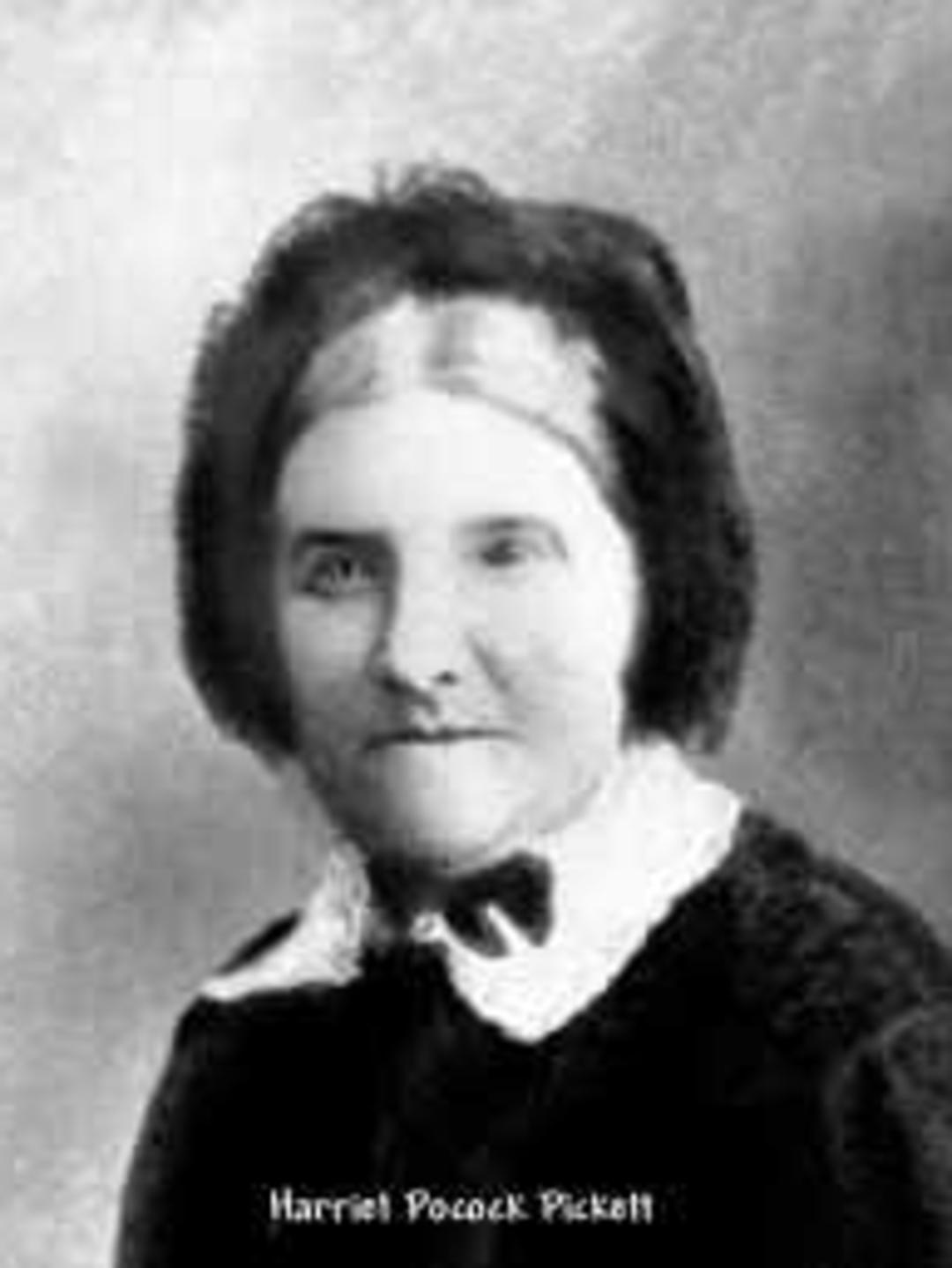 Harriet Pocock (1817 - 1898) Profile